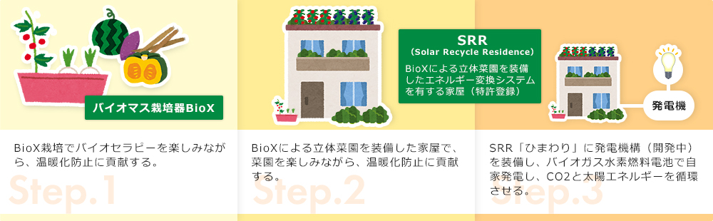 バイオマス栽培器BioXの今後の展開